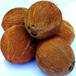 Fresh Matured Coconuts Available...