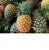 Import FRESH QUEEN PINEAPPLE ,fresh md2 pineapple from South Africa