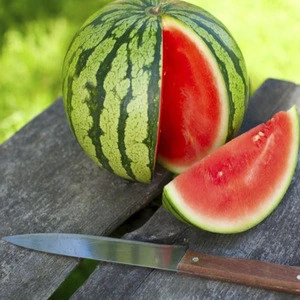 Fresh Sweet Water Melons