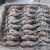 Import Frozen Blue Crab from Germany