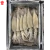 Import Frozen illex squid whole round with high quality from China