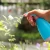 Import Gardening Cleaning Watering Can Watering Can Hand-Pressed Plastic Spray from China