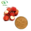 GMP Hot Selling High Quality Rambutan Extract Powder for Embellish Skin