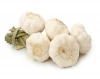 good quality Chinese fresh garlic for hot sales 4.5cm 5.0cm 5.5cm 6.0cm