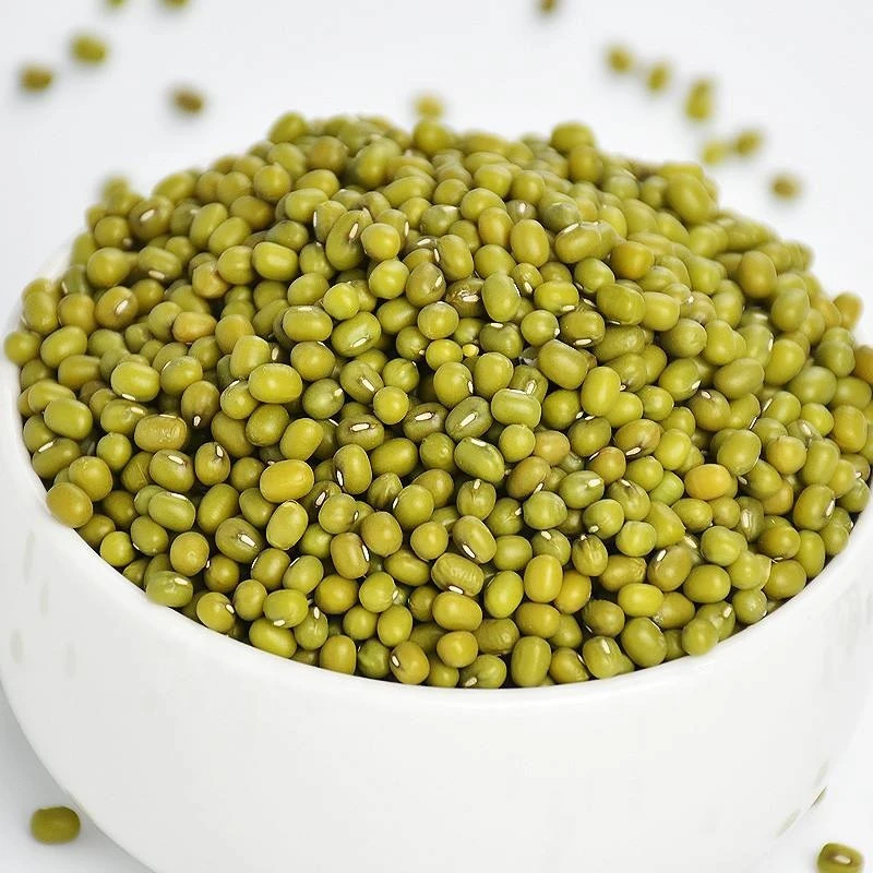 Grade AA Green Mung Beans for Sprouting with Lower Price