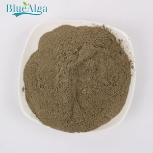 green kelp meal for animal feed supplement