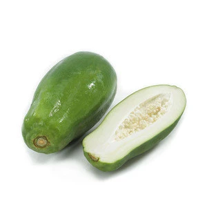 Green Papaya Suppliers