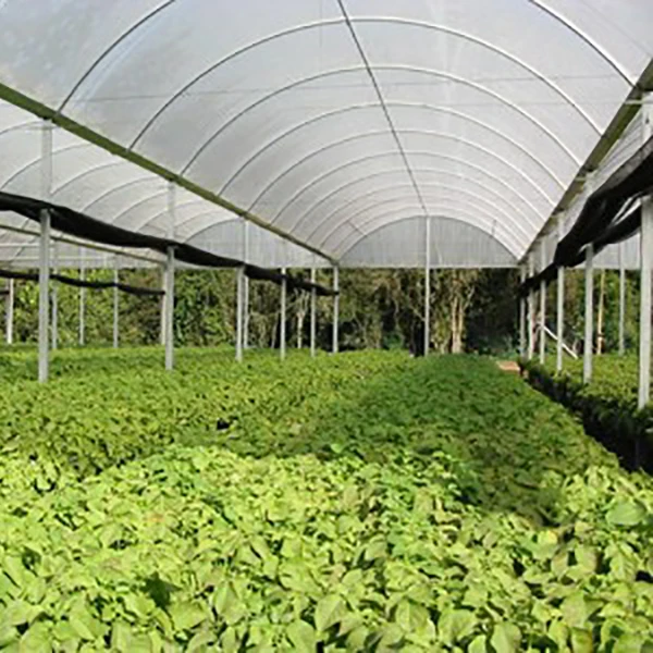 Greenhouse Clear Cover White Key Roof Garden Color Plant Material Multi Water Polycarbonate Origin