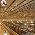 H type automatic chicken egg layer chicken cage laying hens cage poultry farm equipment