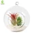 Import Hanging Glass Vase, Flower Planter Glass Terrarium Container Vases Home Decoration from China