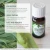 Import Healing solutions Eucalyptus Essential Oil 100% Pure Therapeutic Grade Eucalyptus Oil from China