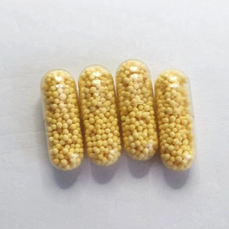 Health Food Vitamin C 500mg and Seabuckthorn Sustained Release Pellet Capsules