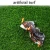 Import High Density  Artificial Grass Hot Design Bermuda Artificial Lawn Grass Thick Natural Green from China