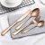 Import high-end cutlery set Black gold-plated stainless steel cutlery creative color western steak cutlery 4Pcs flatware from China