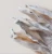Import High Protein & Low Fat 100% Single Ingredient Rabbit Ears for Dogs Chew Treats from China