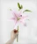Import High quality artificial real touch short stem big lily flowers from China