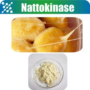 High Quality Bulk Freeze Dried Natto Powder Nattokinase 133876-92-3
