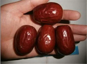 High quality Chinese Jujube fruit/Chinese Date