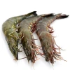 High Quality Frozen Black Tiger Shrimp and Vannamei Shrimps