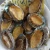 Import High Quality frozen Gutting abalone with shelled from China