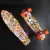 Import High Quality Graphic Printed Plastic Skate Board from China