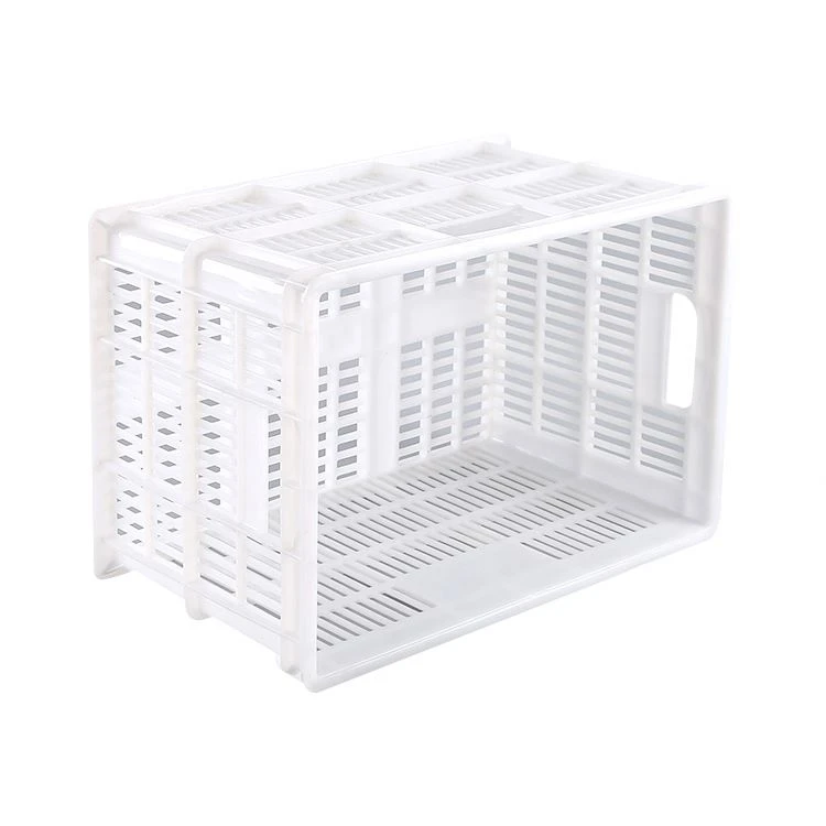 High Quality Plastic Protect Vegetable Transportation Plastic Mesh Crate