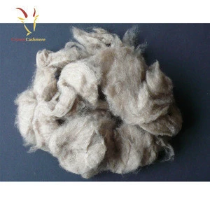 High Quality Pure Mongolian Cashmere Sheep Wool Fiber
