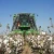 Import High Quality Raw Cotton from Mexico