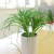 Import Home Decorative Artifical Potted Plants With Plastic Basement Electric Aromatherapy Oil Diffuser Air Purifier With Humidifier from China