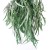 Import Home Indoor Decoration Leaves Preserved Plants Forever Eucalyptus Leaves with cone from China