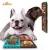 Import Host Sale Durable 4-pack Pet Fun Interactive Slow Feeder Dog Licking Tray Food Plate Lick Mat Slow Feeder Dog Bowl from China