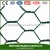 Import Hot dip galvanized hexagonal chicken wire mesh for bird cage from China