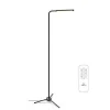 Hot Product Home Goods Unique Flexible Decorative Office Dimmable Wireless Remote Control Tripod LED Floor Lamp for Living Room