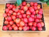HOT SALE !!! Cherry tomatoes with sweet taste (Lam Son)