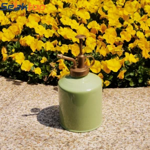Hot Sale Garden Metal Watering Can  Flower Watering  Spray pot with removable spout