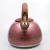 Import Hot Sell Unique Design Pink Color Painting Stainless Steel Whistling Tea Water Kettle from China