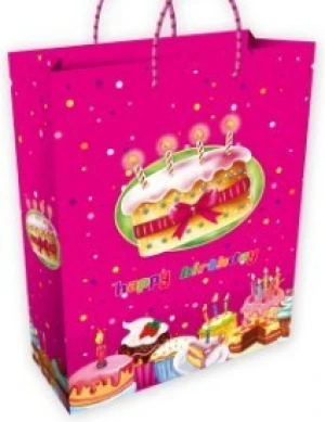 Hot Selling Birthday Party Foldable Shopping Gift Packing Bag