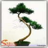 hot selling bonsai tree plastic harga bonsai plastik bonsai figurines
