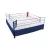 Import Hot selling High quality international standard Muay Thai MMA boxing ring from China
