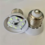 Hot selling miniature led lights holidays decoration events wedding colored led light