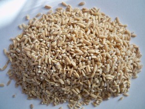 Hulled Oat from Ukraine
