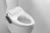 Import Hygienic ABS Automatic Open-close Sensor Electric Toilet Seat Bidet ZJF-03 from China