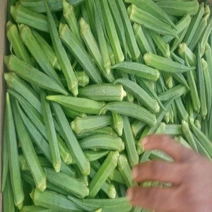 Indian Okra for Sale from India