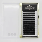 Individual  false eyelash extension