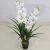 Import Indoor Decoration Fake Simulation Artificial Flower Wall White Orchid Potted Plant from China