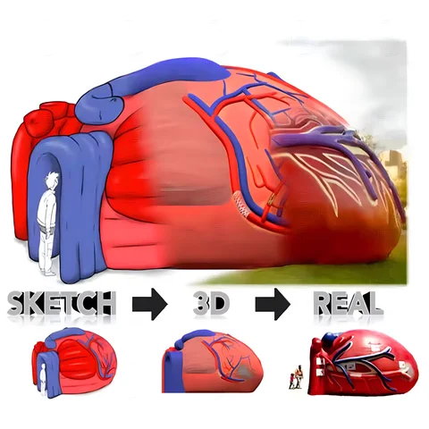 Large Inlfatable Medical Models Buy Inflatable Brain Heart Tent Model Human Body Large Organs For ...