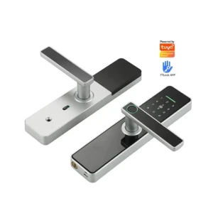 Intelligent Fingerprint Access Mobile Control Electronic Zinc Alloy Door Lock