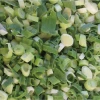 IQF frozen scallions dice with high quality