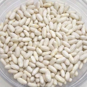 Kidney White Beans