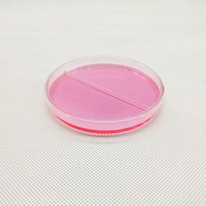 laboratory Equipment  Sterile Disposable Plastic 90x15mm Two Rooms Petri Dish